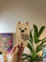 8A77F375-E744-4711-B09C-6006D27F5DB7_1_105_c.webp